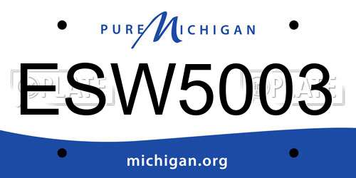 ESW5003 Michigan License Plate