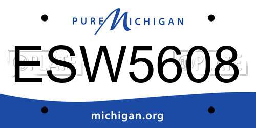 ESW5608 Michigan License Plate