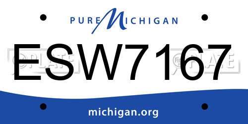 ESW7167 Michigan License Plate