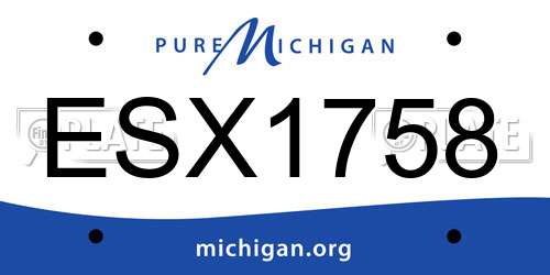ESX1758 Michigan License Plate