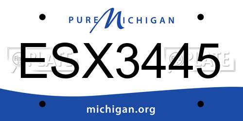 ESX3445 Michigan License Plate