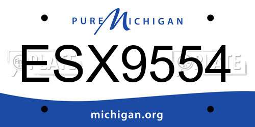 ESX9554 Michigan License Plate