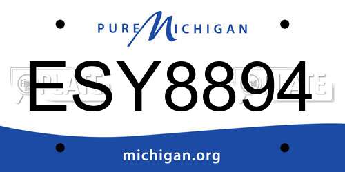 ESY8894 Michigan License Plate