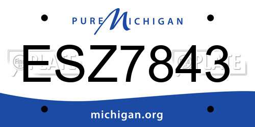 ESZ7843 Michigan License Plate