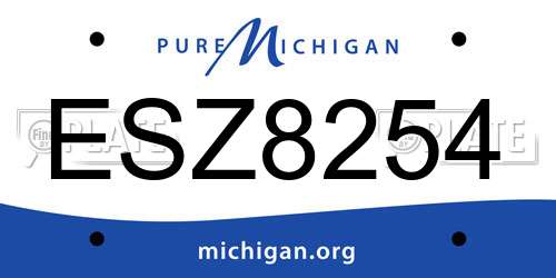 ESZ8254 Michigan License Plate