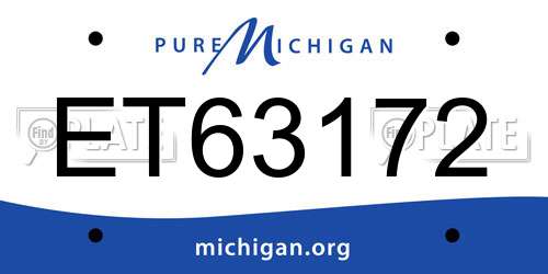 ET63172 Michigan License Plate