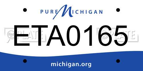 ETA0165 Michigan License Plate