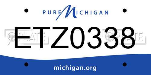 ETZ0338 Michigan License Plate