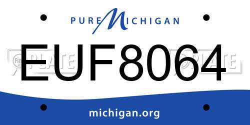 EUF8064 Michigan License Plate
