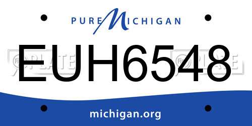 EUH6548 Michigan License Plate