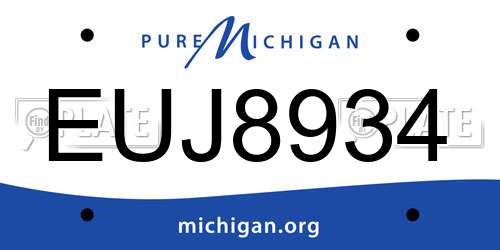 EUJ8934 Michigan License Plate
