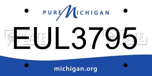 EUL3795 Michigan License Plate