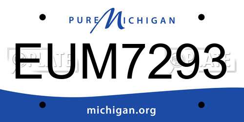 EUM7293 Michigan License Plate