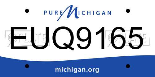 EUQ9165 Michigan License Plate