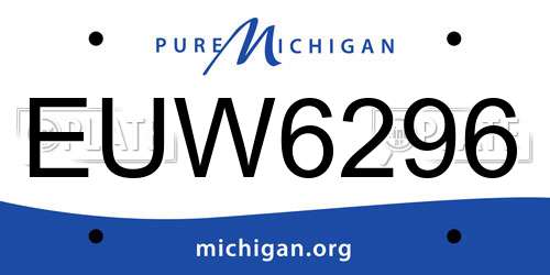 EUW6296 Michigan License Plate