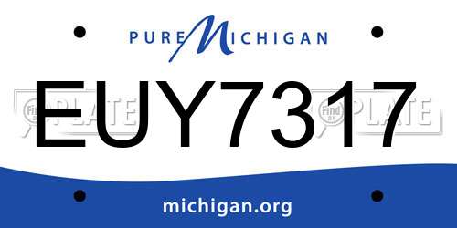EUY7317 Michigan License Plate