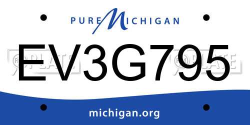EV3G795 Michigan License Plate