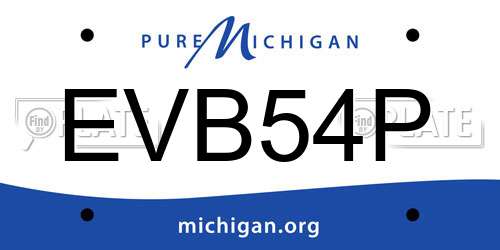 EVB54P Michigan License Plate