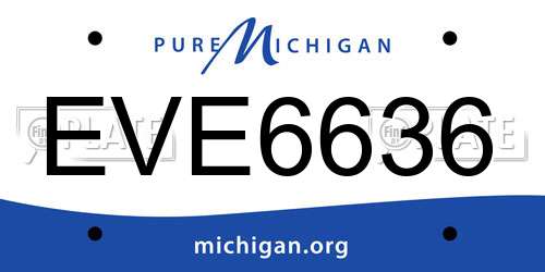 EVE6636 Michigan License Plate
