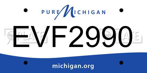 EVF2990 Michigan License Plate