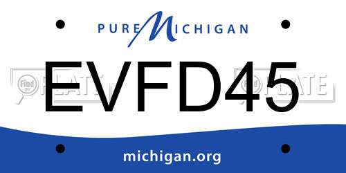 EVFD45 Michigan License Plate