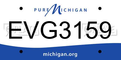 EVG3159 Michigan License Plate