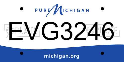EVG3246 Michigan License Plate