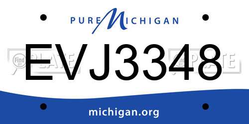EVJ3348 Michigan License Plate