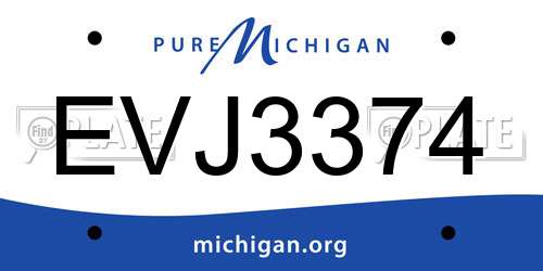 EVJ3374 Michigan License Plate