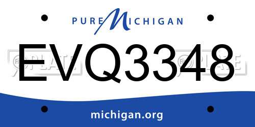EVQ3348 Michigan License Plate