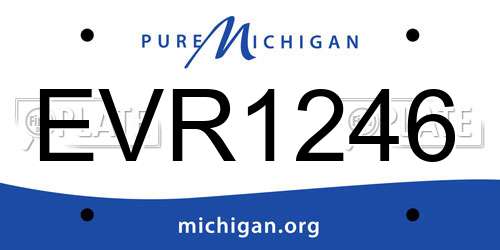 EVR1246 Michigan License Plate