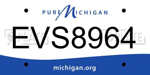 EVS8964 Michigan License Plate