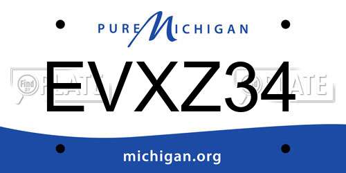 EVXZ34 Michigan License Plate