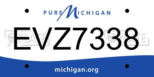 EVZ7338 Michigan License Plate