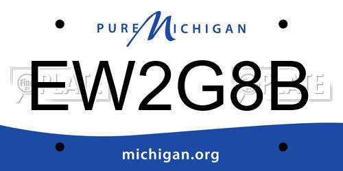 EW2G8B Michigan License Plate