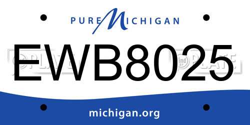 EWB8025 Michigan License Plate