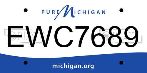 EWC7689 Michigan License Plate