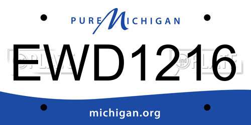 EWD1216 Michigan License Plate