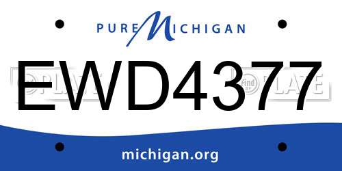 EWD4377 Michigan License Plate