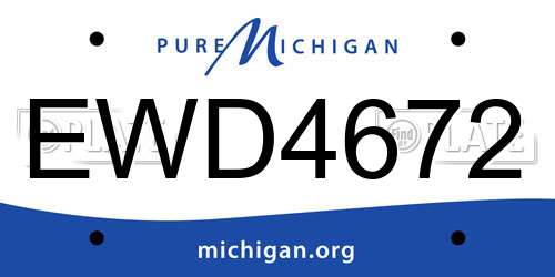 EWD4672 Michigan License Plate