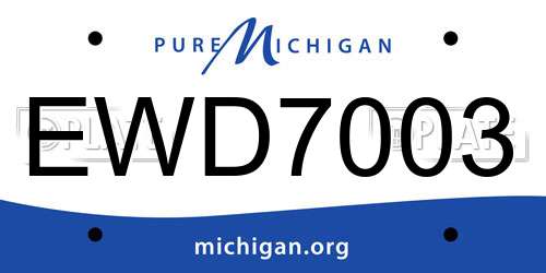 EWD7003 Michigan License Plate