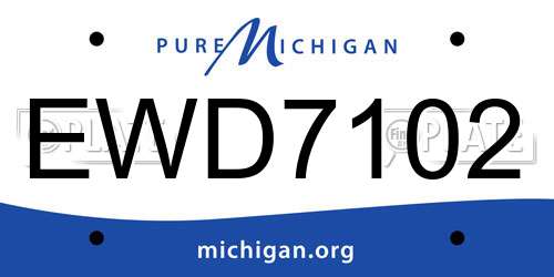 EWD7102 Michigan License Plate