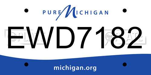 EWD7182 Michigan License Plate