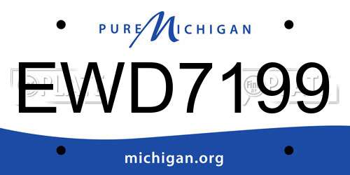 EWD7199 Michigan License Plate