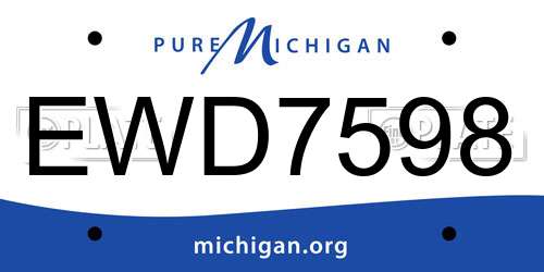 EWD7598 Michigan License Plate