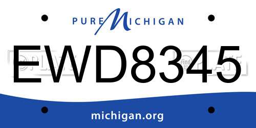 EWD8345 Michigan License Plate
