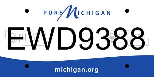 EWD9388 Michigan License Plate