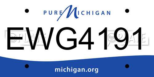 EWG4191 Michigan License Plate