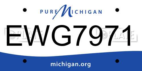 EWG7971 Michigan License Plate
