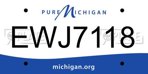 EWJ7118 Michigan License Plate